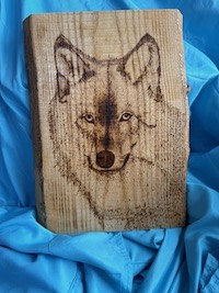 Sublime Designs Canada 2024